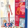 Squishy Human Body from EDC Publishing