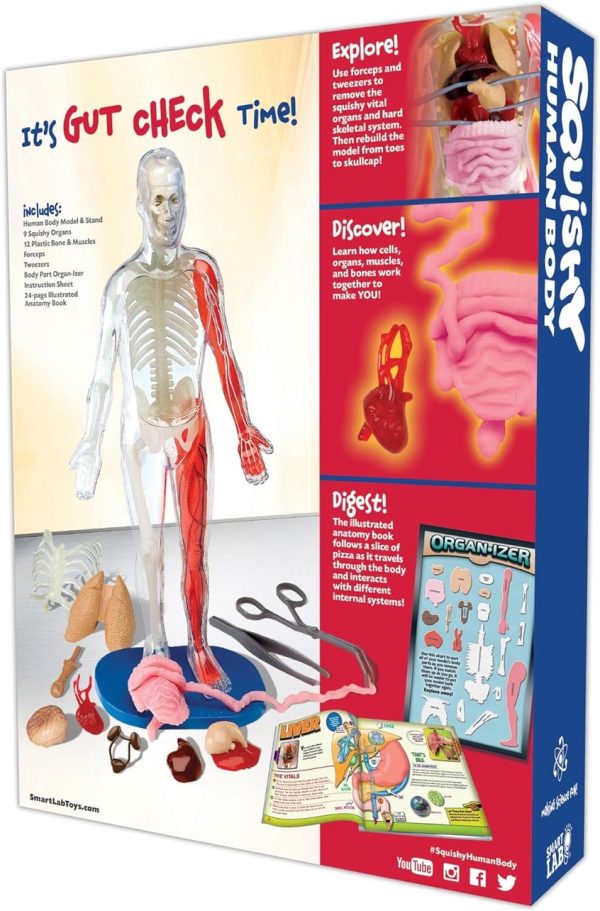 Squishy Human Body from EDC Publishing