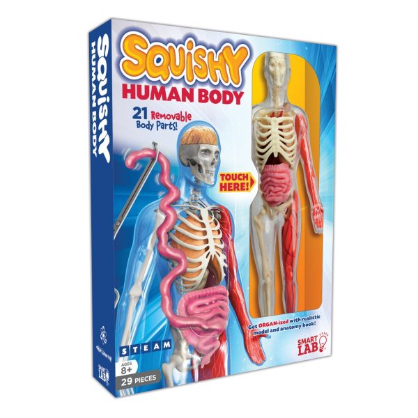EDC Publishing Squishy Human Body