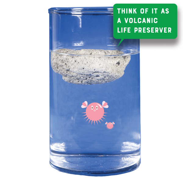 Buoyant Rock Pumice Collectible Science Demo made by Copernicus Toys