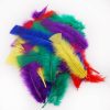 Feathers 8g in Asst. Colors from Angels Craft