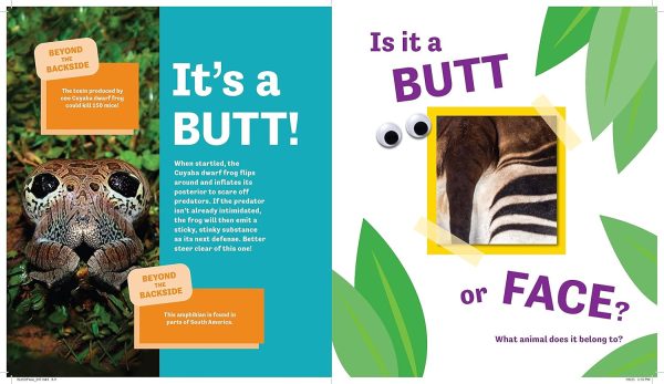 Butt or Face? from