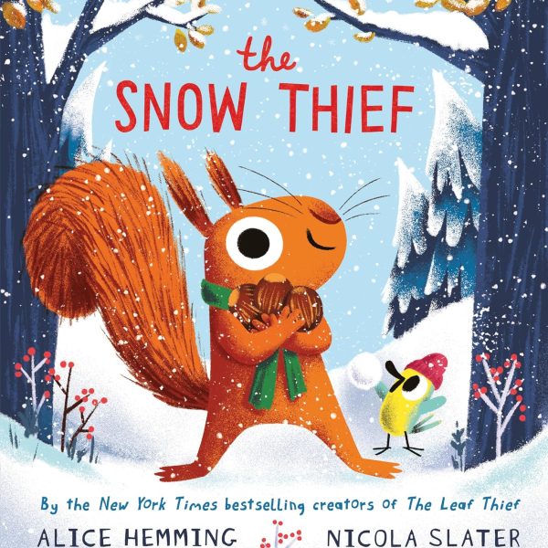 Sourcebooks Snow Thief Hardcover Book Sourcebooks Snow Thief Hardcover Book