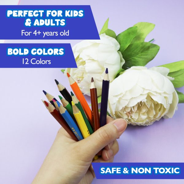 12 Mini Colored Pencils from Bazic