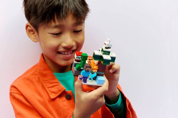 Minecraft Steve's Taiga Adventure 21583 made by LEGO
