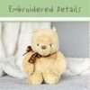 Disney Classic Pooh Small Floppy Plush Pooh from Kids Preferred
