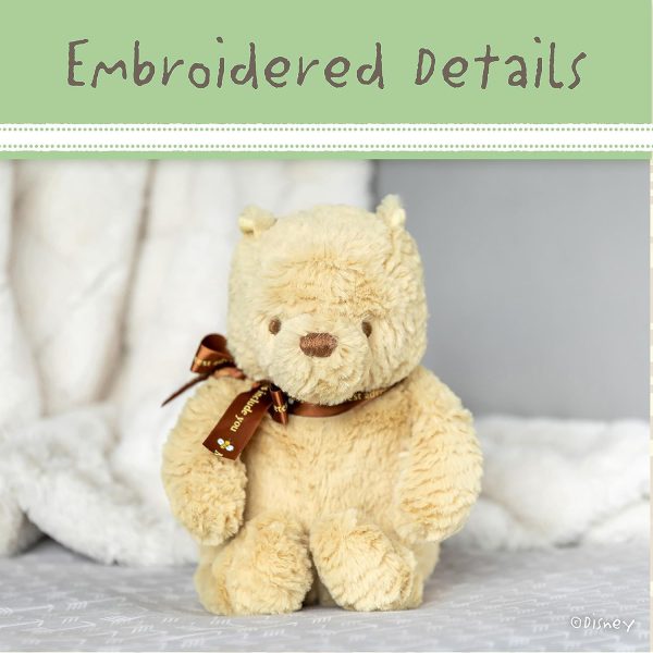 Disney Classic Pooh Small Floppy Plush Pooh from Kids Preferred