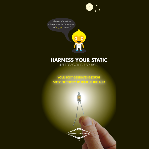 Human Powered Light Bulb from Copernicus Toys