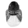Audobon Birds with Bird Calls Common Loon from Wild Republic
