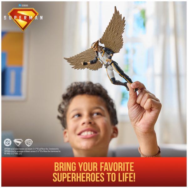 DC Comics Superman Movie Hawk Girl with Collect to Build Body Piece from Spinmaster